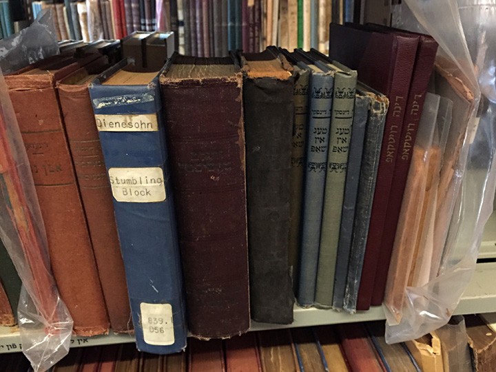 Shelf of Jacob Dinezon's Yiddish books